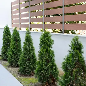  Ξενοδοχείο με διαμερίσματα Casa Maresol